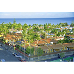 Los Almendros Gays...