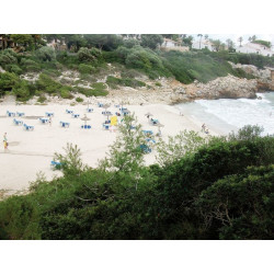 Apartamentos Vista Alegre...