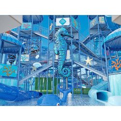 Nirvana Cosmopolitan