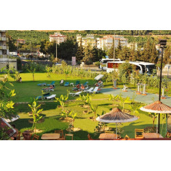 Kleopatra Royal Palm