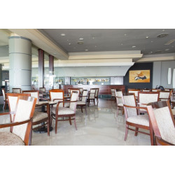 Landmar Costa Los Gigantes