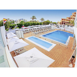 Lemon & Soul Cactus Garden