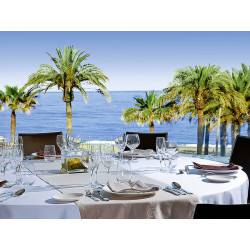 Meliá Costa del Sol