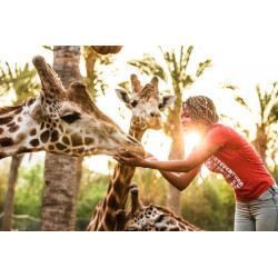 Oasis Park Fuerteventura
