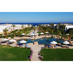 OTIUM Family Amphoras Beach...