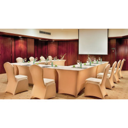 Sonesta Hotel Tower &...