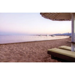 Balina Paradise Abu Soma...