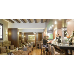 Golden Tulip Flamenco