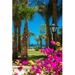 The Grand Hotel, Hurghada