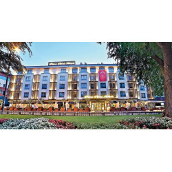 Dosso Dossi Downtown